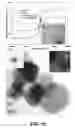 Fig. 11 - Method of fabrication of nanoparticulate composites using monomer stabilization