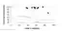 Fig. 01 - Functionalized high vinyl terminated propylene based oligomers
