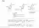 Fig. 08 - Oligonucleotides comprising a non-phosphate backbone linkage