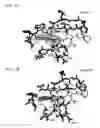 Fig. 02 - Rock inhibitors and uses thereof