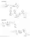 Fig. 16 - Rock inhibitors and uses thereof