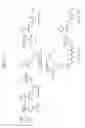 Fig. 19 - Rock inhibitors and uses thereof