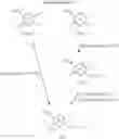 Fig. 65 - Carboxylic acid derivatives and pharmaceutical agent comprising the same as active ingredient