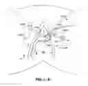 Fig. 28 - IMPLANTS FOR THE TREATMENT OF PELVIC FLOOR DISORDERS