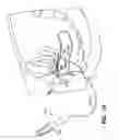 Fig. 40 - IMPLANTS FOR THE TREATMENT OF PELVIC FLOOR DISORDERS