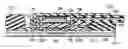 Fig. 01 - Patch and sensor assembly for use in medical device localization and mapping systems