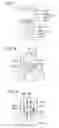Fig. 08 - LIQUID DELIVERY CONTAINER AND EYEDROP CONTAINER