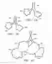 Fig. 02 - Devices and methods for maintaining collateral channels in tissue