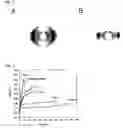 Fig. 03 - Spinning solution composition, process for producing regenerated silk fiber using the composition, and regenerated silk fiber produced by the process