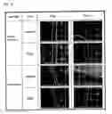 Fig. 04 - Spinning solution composition, process for producing regenerated silk fiber using the composition, and regenerated silk fiber produced by the process