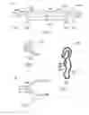 Fig. 08 - EXTERNAL PACEMAKER WITH AUTOMATIC CARDIOPROTECTIVE PACING PROTOCOL