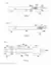 Fig. 12 - Pacemaker integrated with vascular intervention catheter