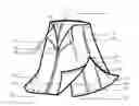 Fig. 01 - Multifunctional Garment or Trappings and its Manufacturing Method