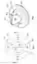 Fig. 08 - Texture sprayer