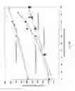 Fig. 07 - CELLULOSIC INCLUSION THERMOPLASTIC COMPOSITION AND MOLDING THEREOF