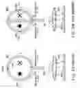 Fig. 03 - Magnetic field probe, current distribution measuring device and radio device
