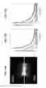 Fig. 10 - Detecting spin perturbations using magnetic resonance imaging