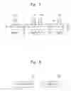 Fig. 07 - Display device, method of manufacturing the same, and apparatus of bonding substrates