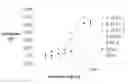 Fig. 01 - TARGETED BINDING AGENTS DIRECTED TO PDGFR-ALPHA AND USES THEREOF