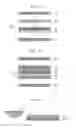 Fig. 02 - Magnetic sheet and production method thereof