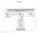 Fig. 02 - Use of gene activity classifiers for the in vitro classification of gene expression profiles of patients with infectious/non-infectious multiple organ failure