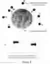 Fig. 09 - Nanostructures for polarized imaging and receptor/ligan quantization: breaking the diffraction limit for imaging