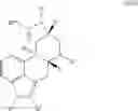 Fig. 06 - Pharmaceutical Compositions For The Treatment Of Capillary Arteriopathy