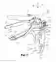 Fig. 18 - Examination apparatus