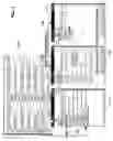 Fig. 07 - System and method for platform-independent, script-based application generation for spreadsheet software