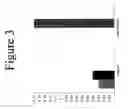 Fig. 04 - BLOOD VESSEL IMAGING AND USES THEREFOR