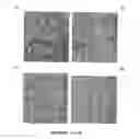Fig. 07 - Radiosynthesis as an alternative energy utilization process in melanized organisms and uses thereof