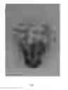 Fig. 02 - PLANT NAMED 'WP08 NIK03'