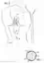 Fig. 03 - Sports Compression Shirt