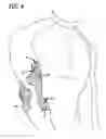 Fig. 04 - Sports Compression Shirt