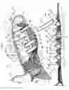 Fig. 06 - Glove having weight-receiving features and weighted features