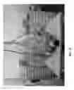 Fig. 14 - DEVICE FOR LIFTING AND TRANSFERRING BODIES