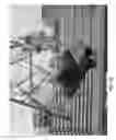 Fig. 15 - DEVICE FOR LIFTING AND TRANSFERRING BODIES
