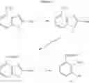 Fig. 11 - PHENOXAZINE DYES