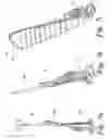 Fig. 07 - Handle assembly for a cleaning appliance