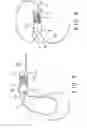 Fig. 05 - Buckle device having strap adjusting structure