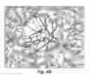 Fig. 06 - PULL UP TREE SYSTEM