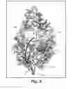 Fig. 11 - PULL UP TREE SYSTEM