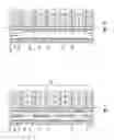 Fig. 02 - High Density Perforating Gun System Producing Reduced Debris