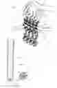 Fig. 02 - Apparatus for bottling viscous media