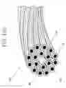 Fig. 09 - TIRE WITH LIGHT WEIGHT BEAD CORE