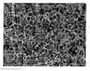 Fig. 01 - Conducting nanotubes or nanostructures based composites, method of making them and applications