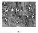 Fig. 02 - METHOD FOR PRODUCING HETEROGENEOUS COMPOSITES