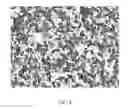 Fig. 07 - METHOD FOR PRODUCING HETEROGENEOUS COMPOSITES