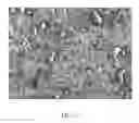 Fig. 12 - METHOD FOR PRODUCING HETEROGENEOUS COMPOSITES