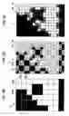 Fig. 09 - Electrophoretic display device and electronic apparatus